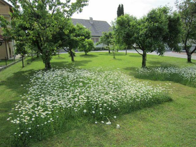 Apartament Apartma Majda Bled Zewnętrze zdjęcie
